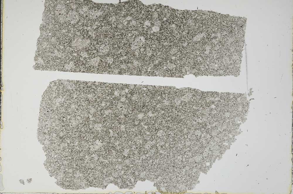 Plane Polarized, S49496