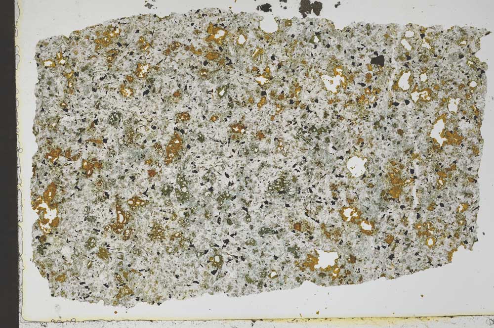 Plane Polarized, S49509