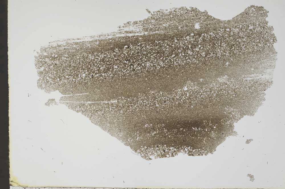 Plane Polarized, S49528