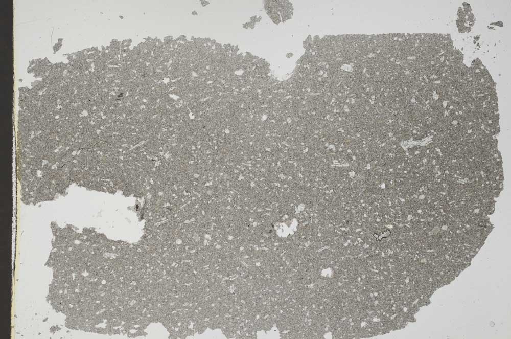 Plane Polarized, S49535