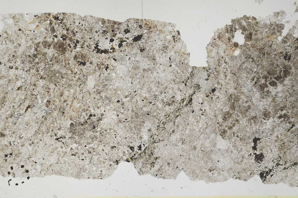 Plane Polarized, S49585