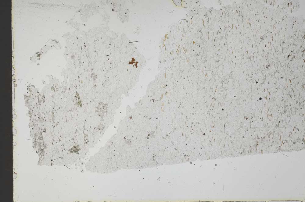 Plane Polarized, S49608