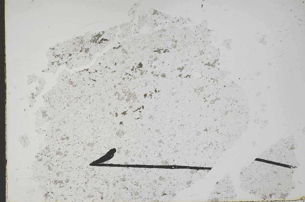 Plane Polarized, S49618