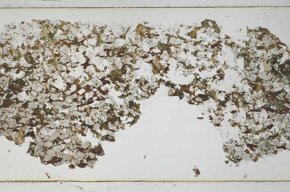 Plane Polarized, S49622