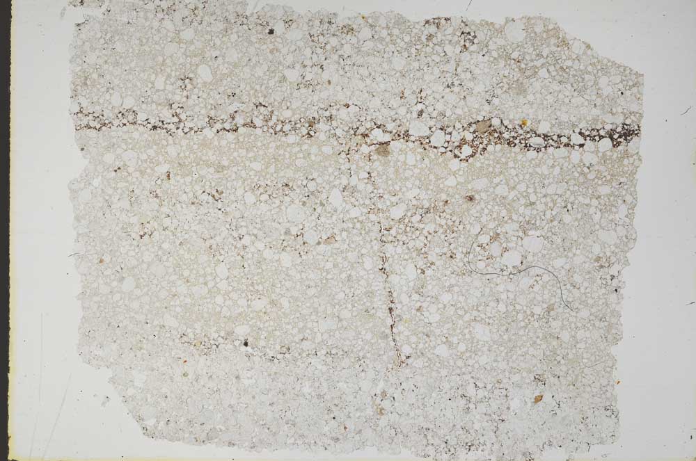 Plane Polarized, S49625