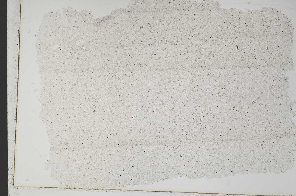 Plane Polarized, S49627