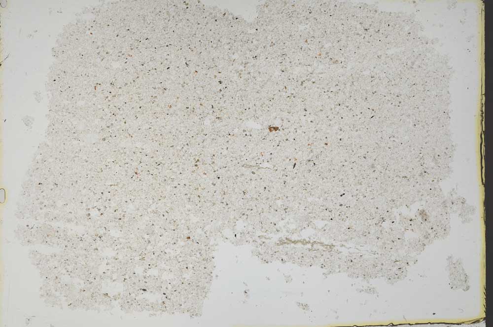 Plane Polarized, S49628