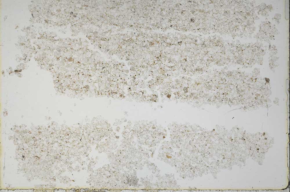 Plane Polarized, S49629