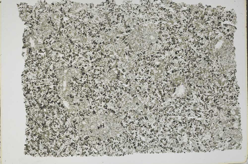 Plane Polarized, S49655