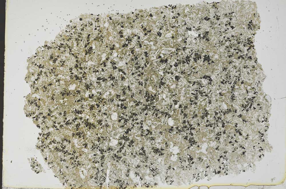 Plane Polarized, S49656