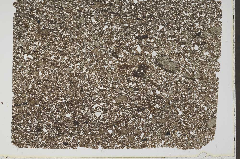 Plane Polarized, S49665