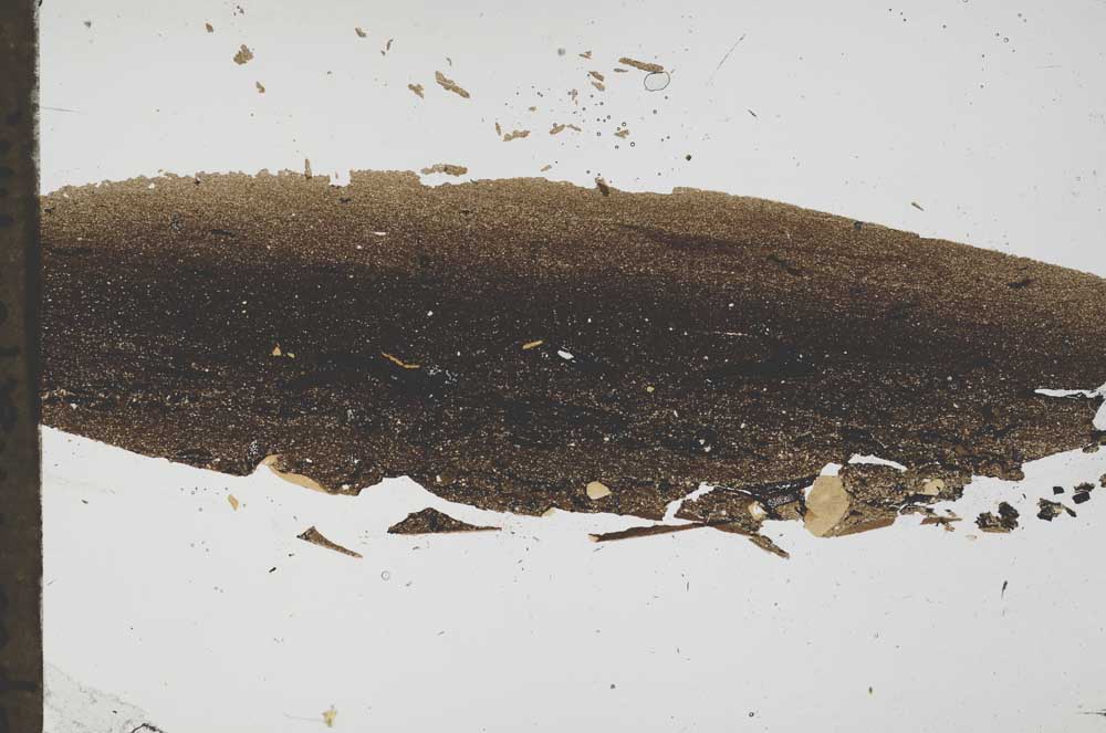 Plane Polarized, S49667