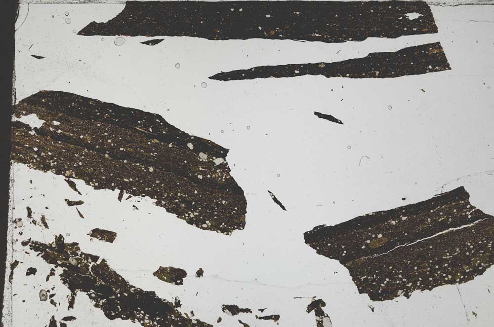 Plane Polarized, S49669