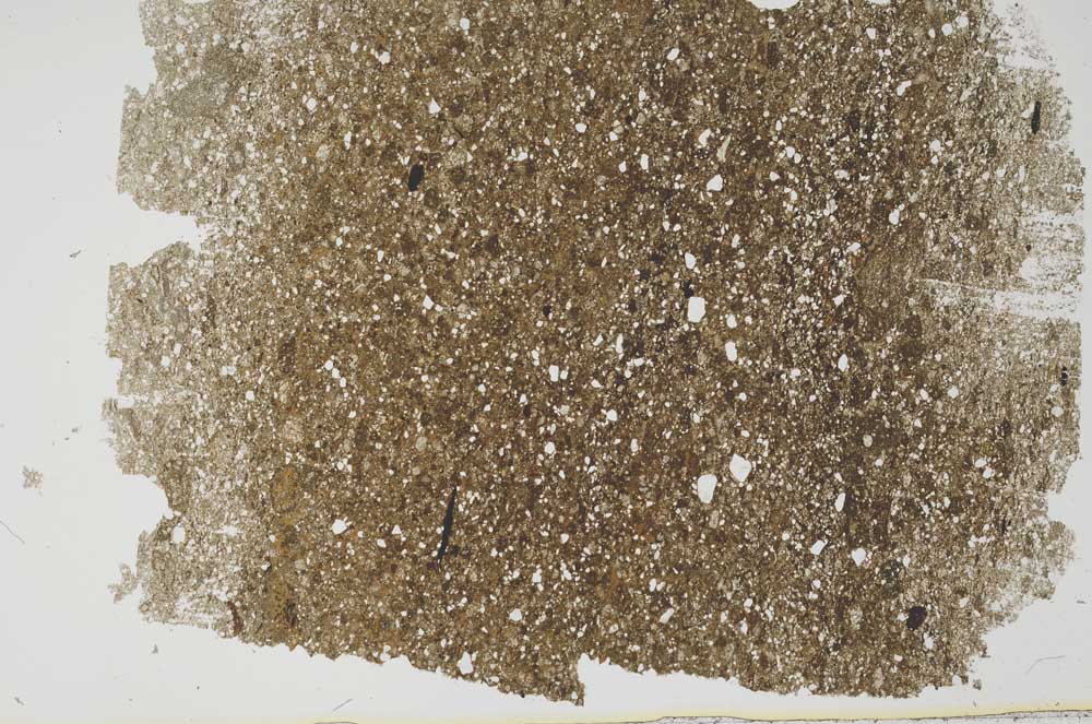 Plane Polarized, S49671