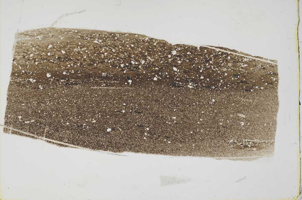 Plane Polarized, S49672