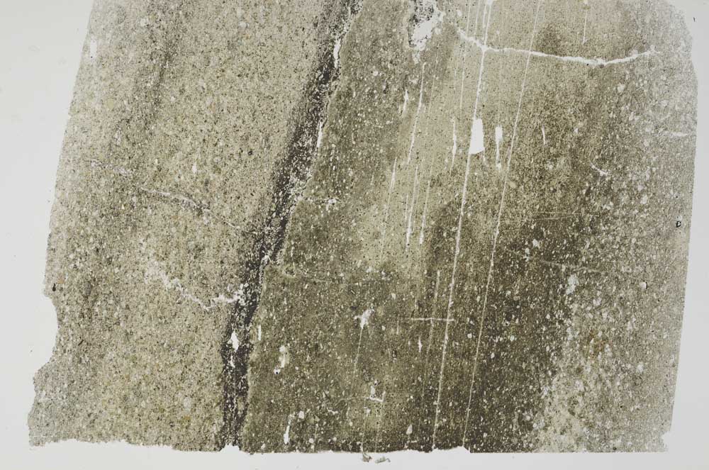 Plane Polarized, S49675