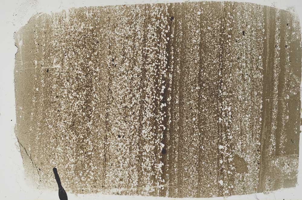 Plane Polarized, S49678/A