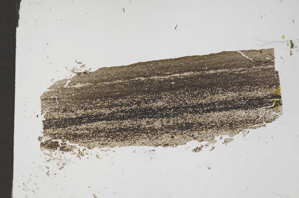 Plane Polarized, S49679