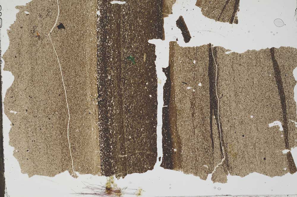 Plane Polarized, S49687