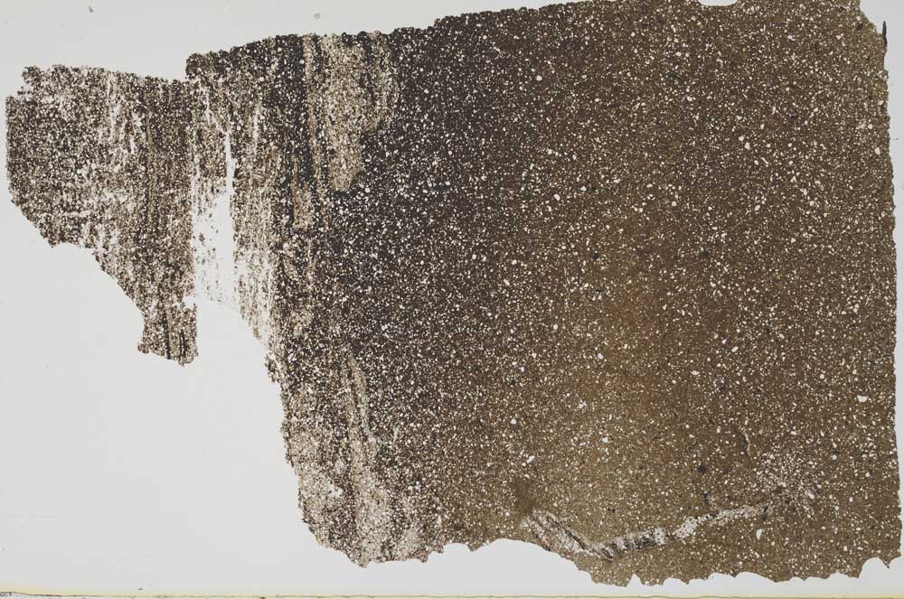 Plane Polarized, S49690