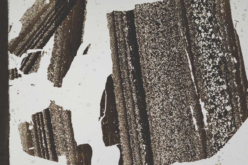 Plane Polarized, S49691