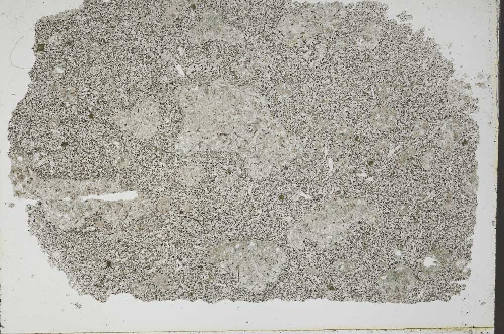 Plane Polarized, S49707