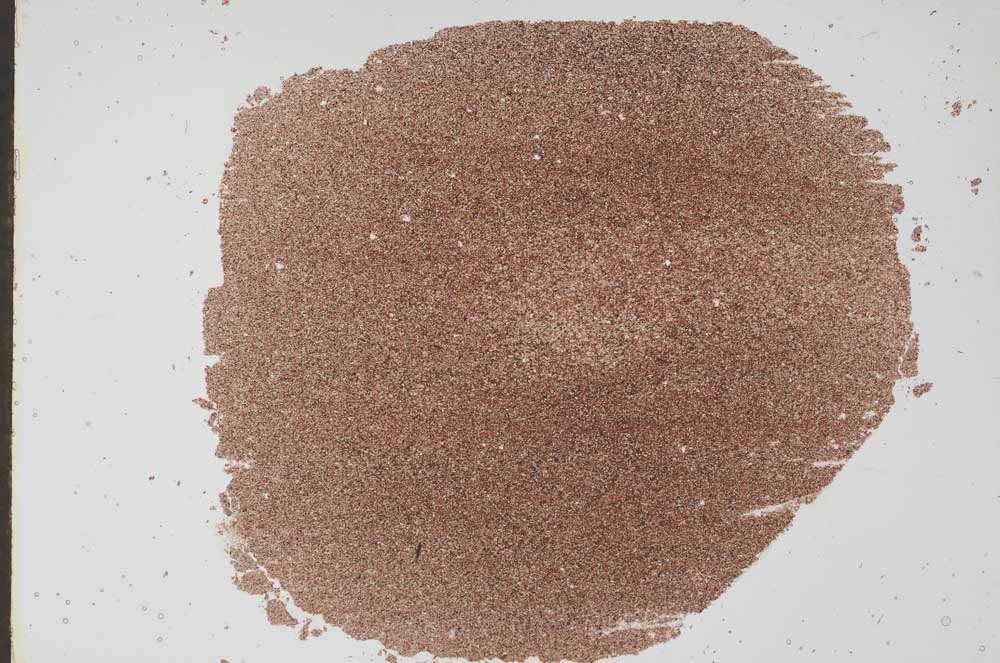 Plane Polarized, S49715