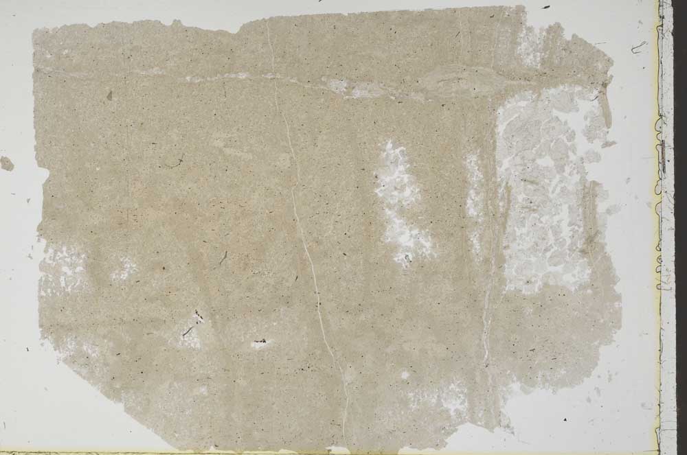 Plane Polarized, S49719