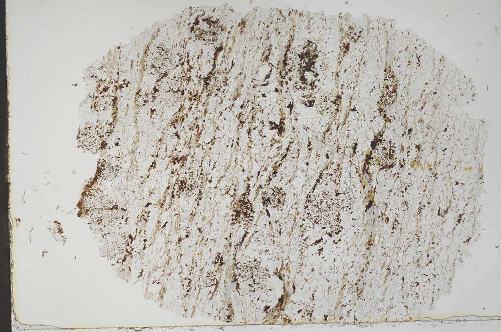 Plane Polarized, S49720