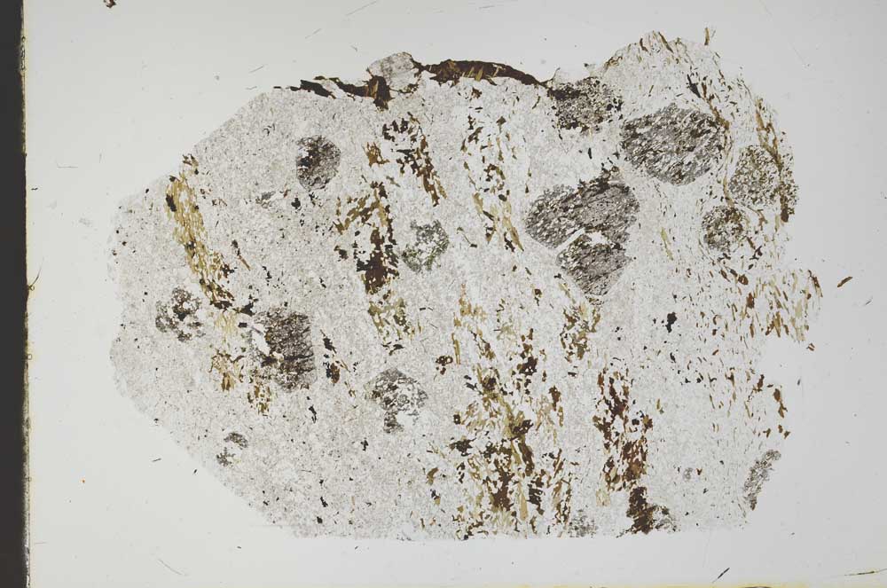 Plane Polarized, S49721