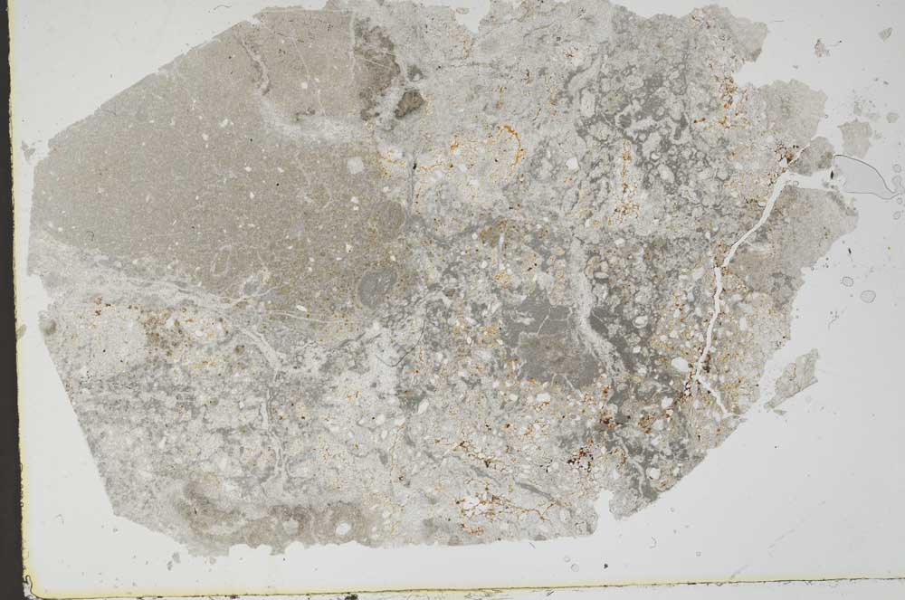 Plane Polarized, S49725