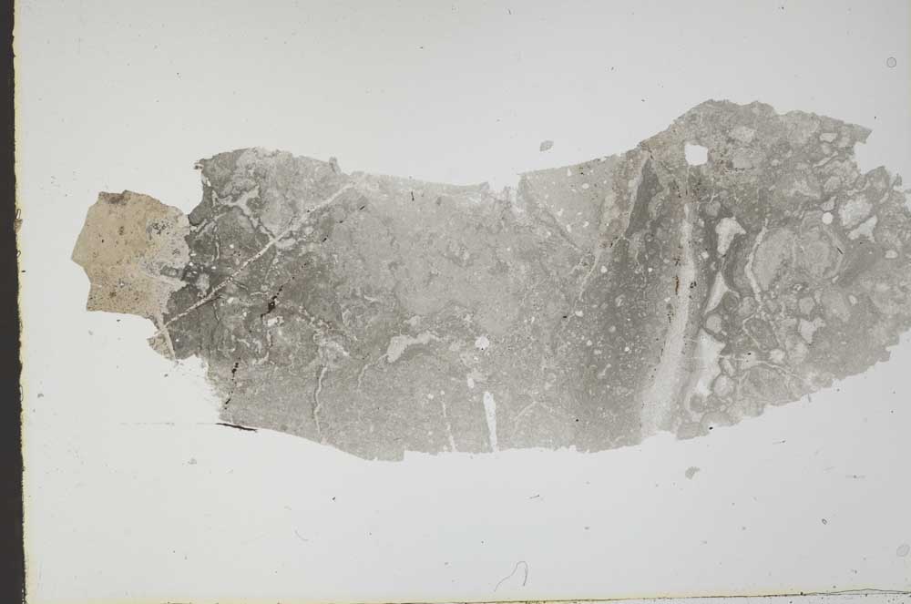 Plane Polarized, S49726