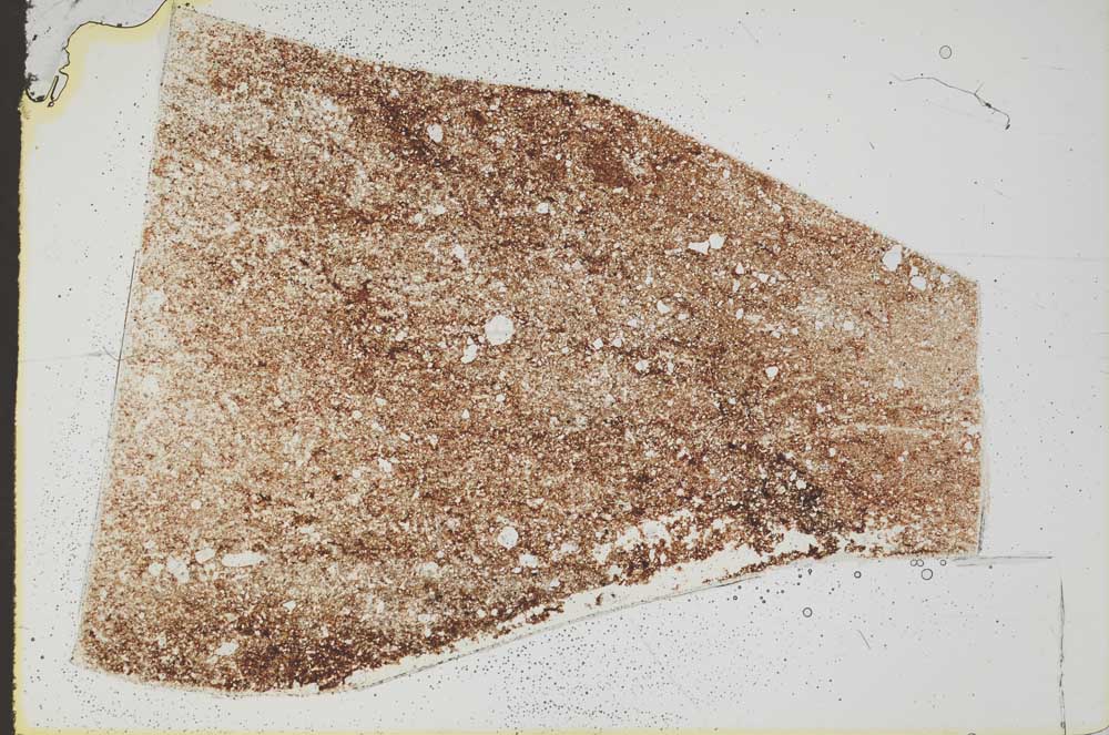 Plane Polarized, S49736