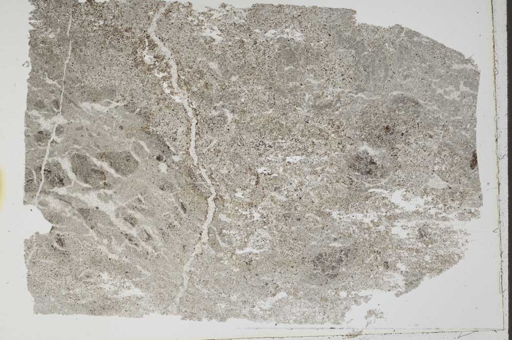 Plane Polarized, S49737