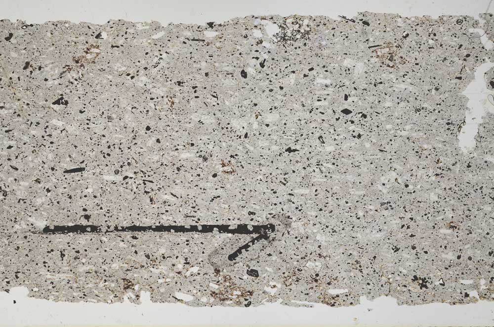 Plane Polarized, S49738