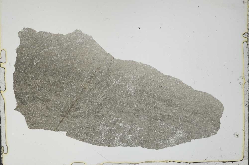Plane Polarized, S49739