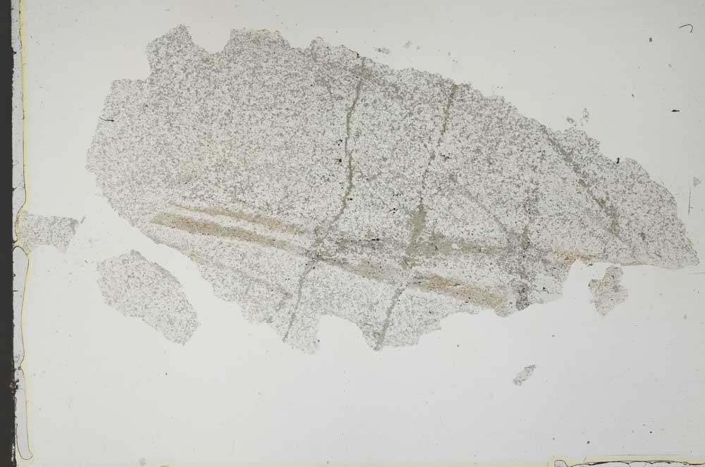 Plane Polarized, S49745