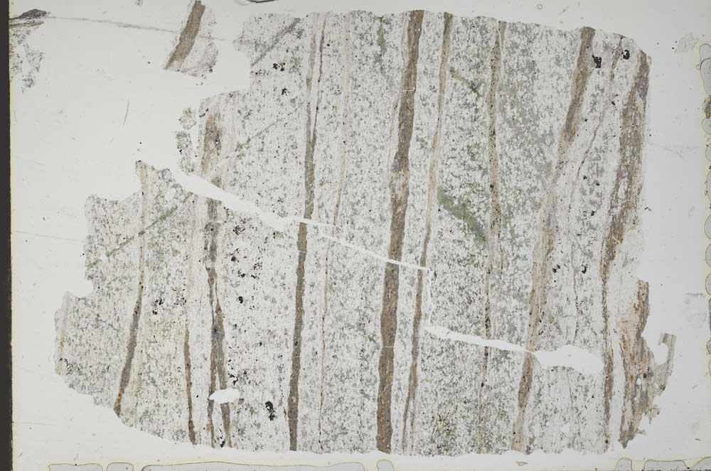 Plane Polarized, S49755