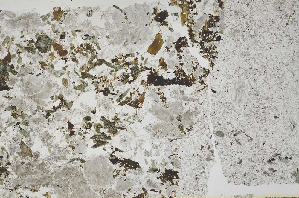 Plane Polarized, S49794