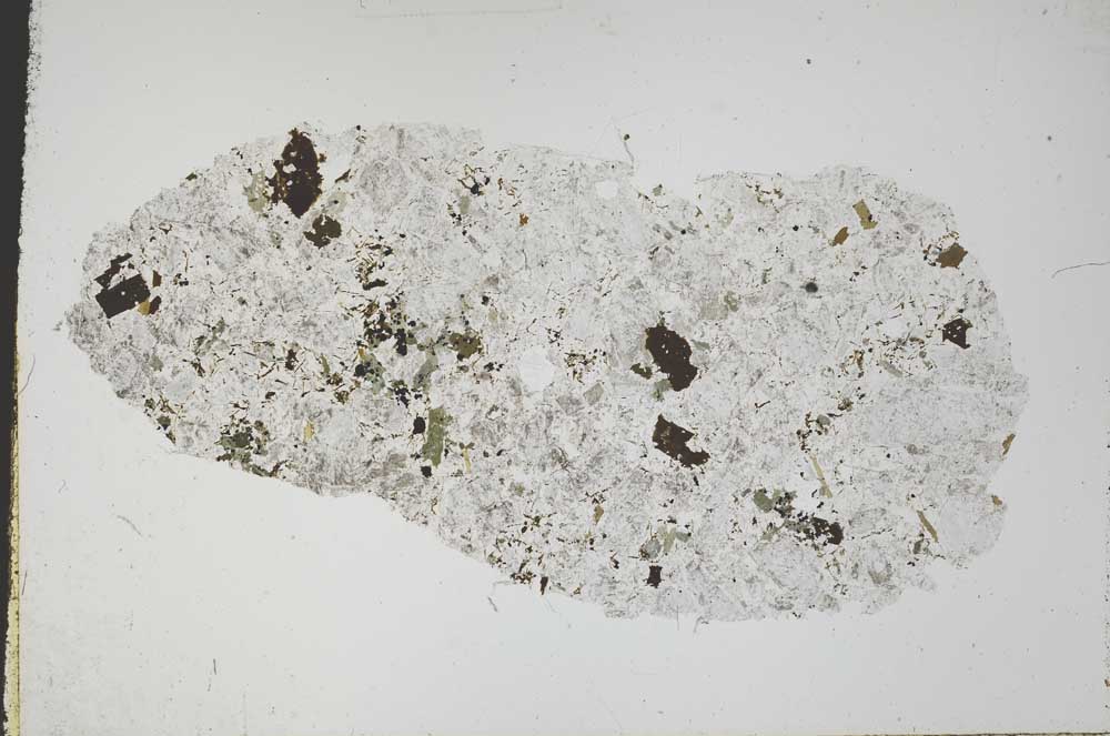 Plane Polarized, S49805
