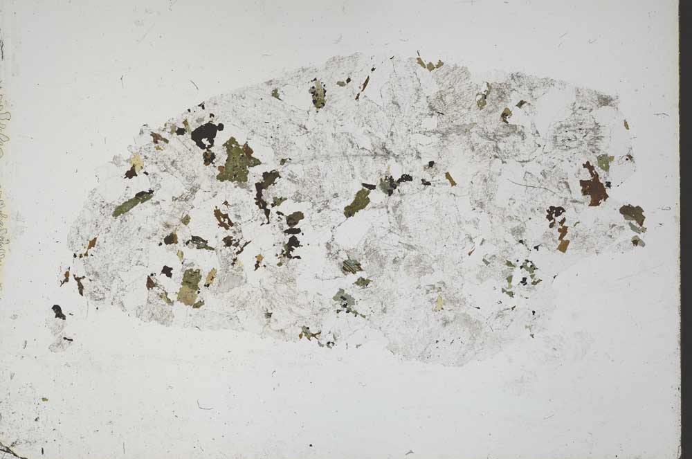 Plane Polarized, S49810