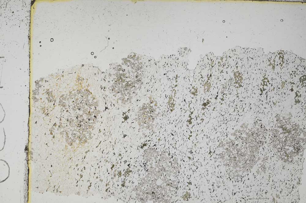 Plane Polarized, S49830
