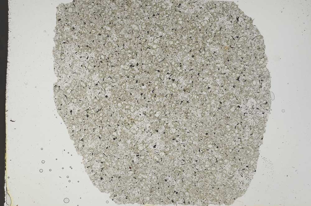 Plane Polarized, S49850