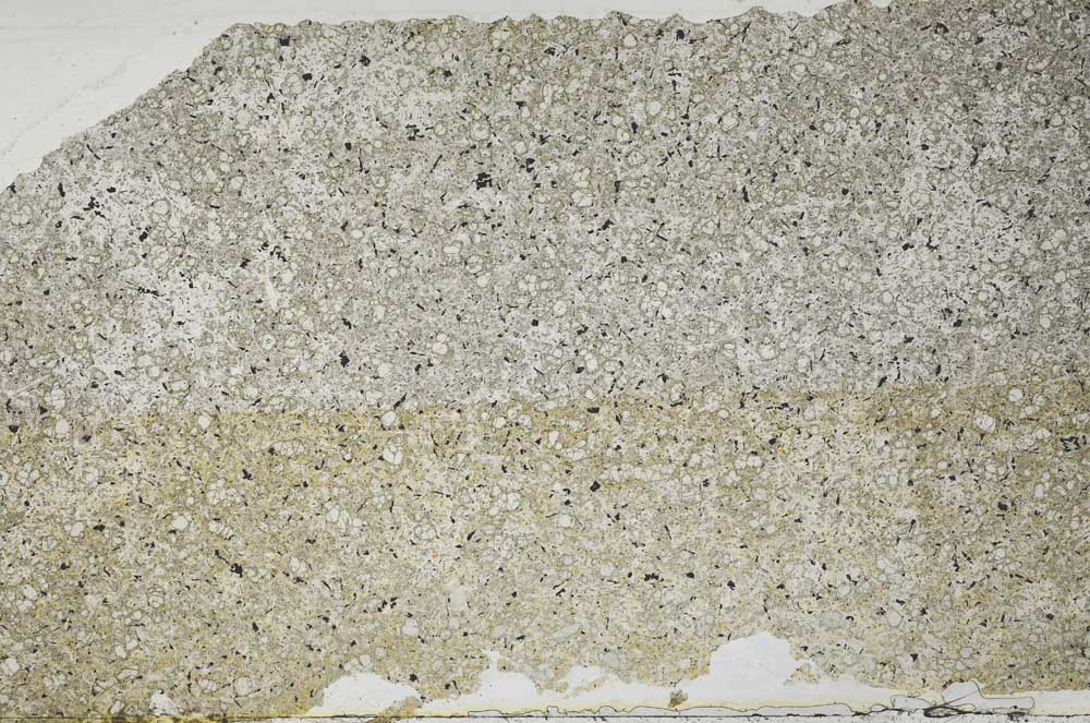 Plane Polarized, S49850/A