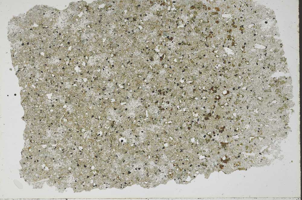 Plane Polarized, S49851