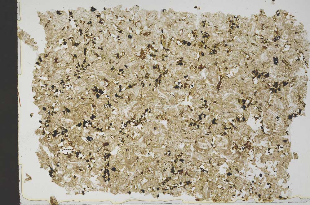 Plane Polarized, S49881