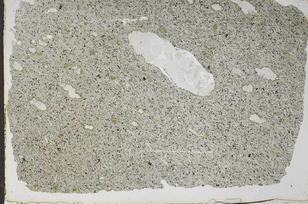 Plane Polarized, S49886