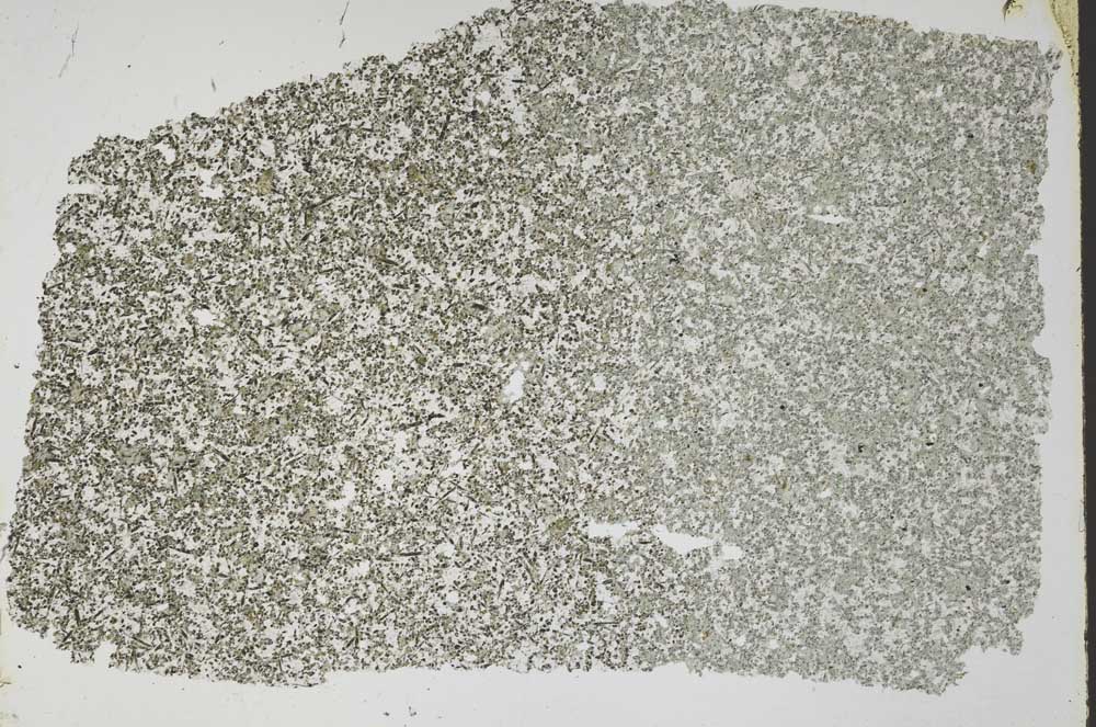 Plane Polarized, S49889