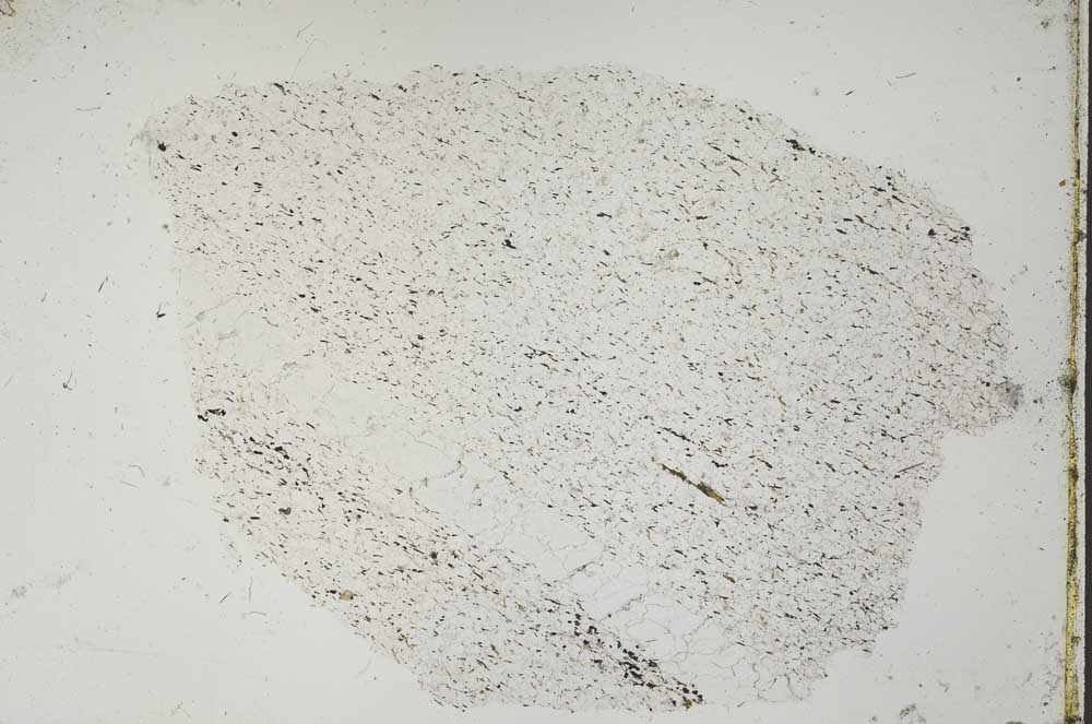 Plane Polarized, S49987