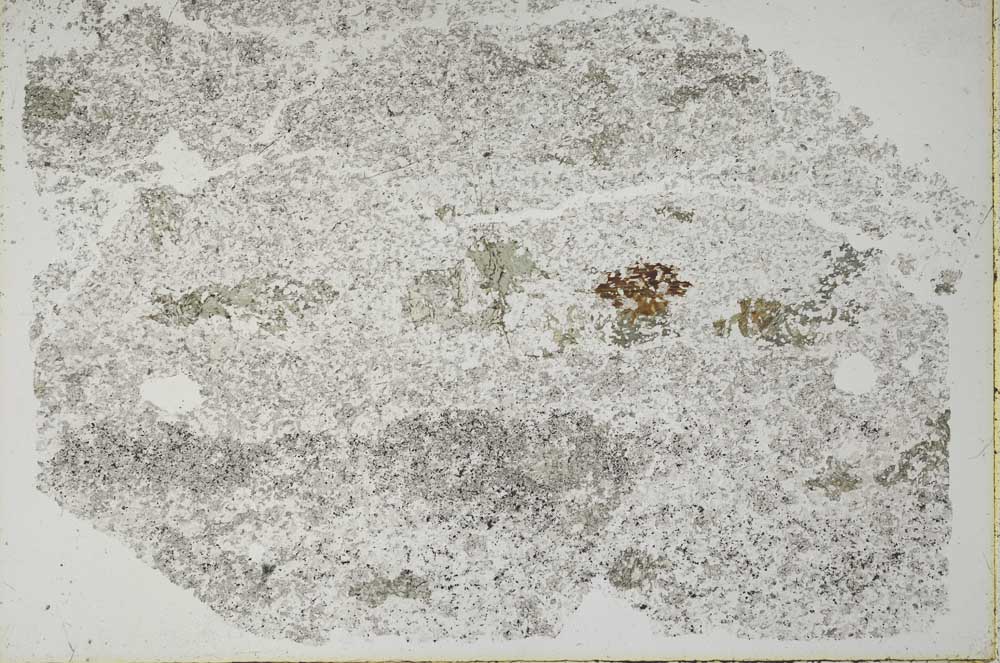 Plane Polarized, S49988